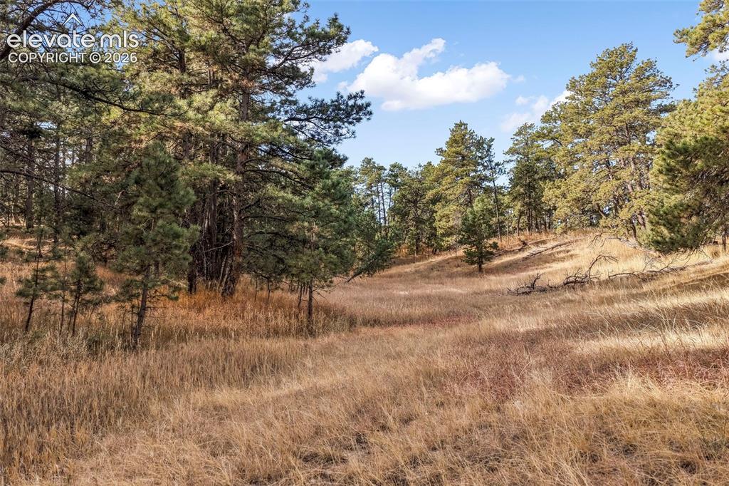 18230 Cumbres Court Peyton CO 80831
