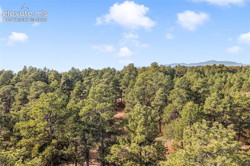 18230 Cumbres Court Peyton CO 80831