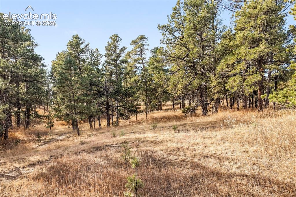 18230 Cumbres Court Peyton CO 80831