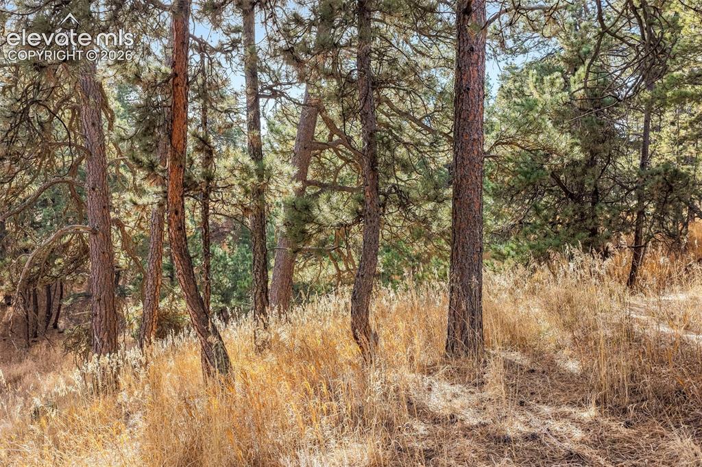 18230 Cumbres Court Peyton CO 80831