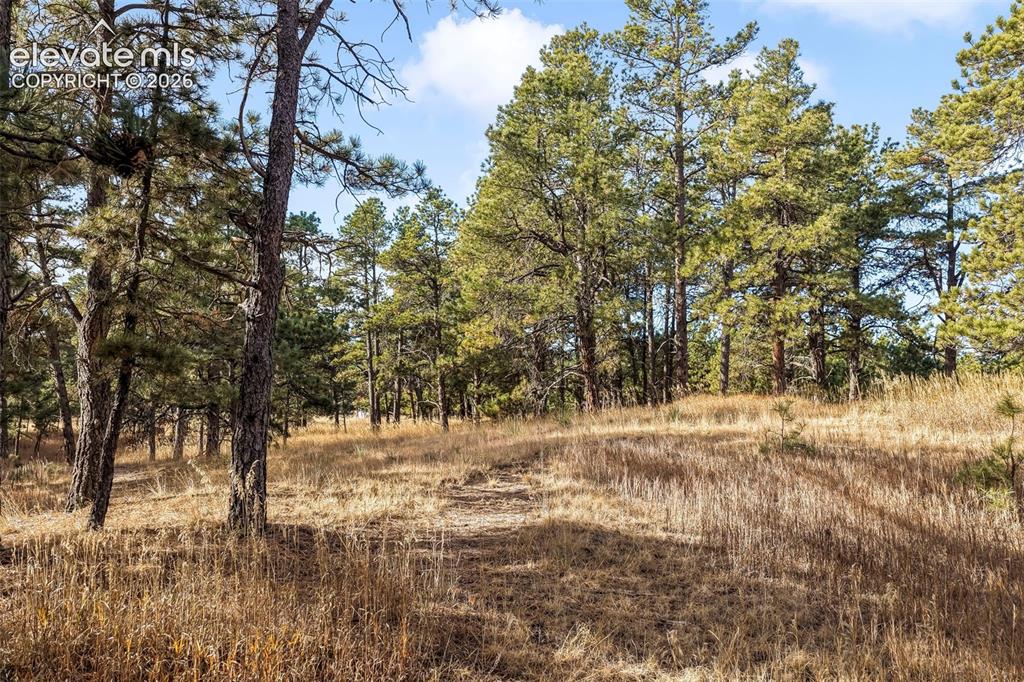 18230 Cumbres Court Peyton CO 80831