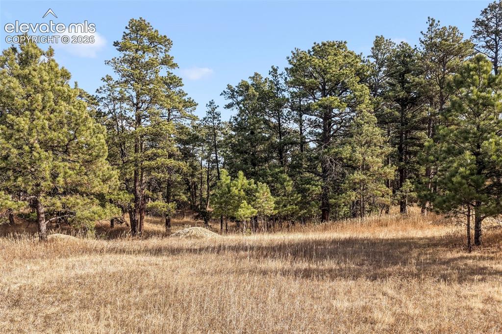 18230 Cumbres Court Peyton CO 80831