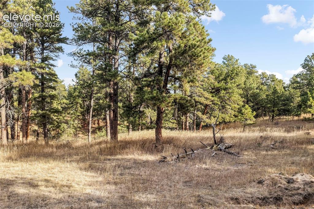 18230 Cumbres Court Peyton CO 80831