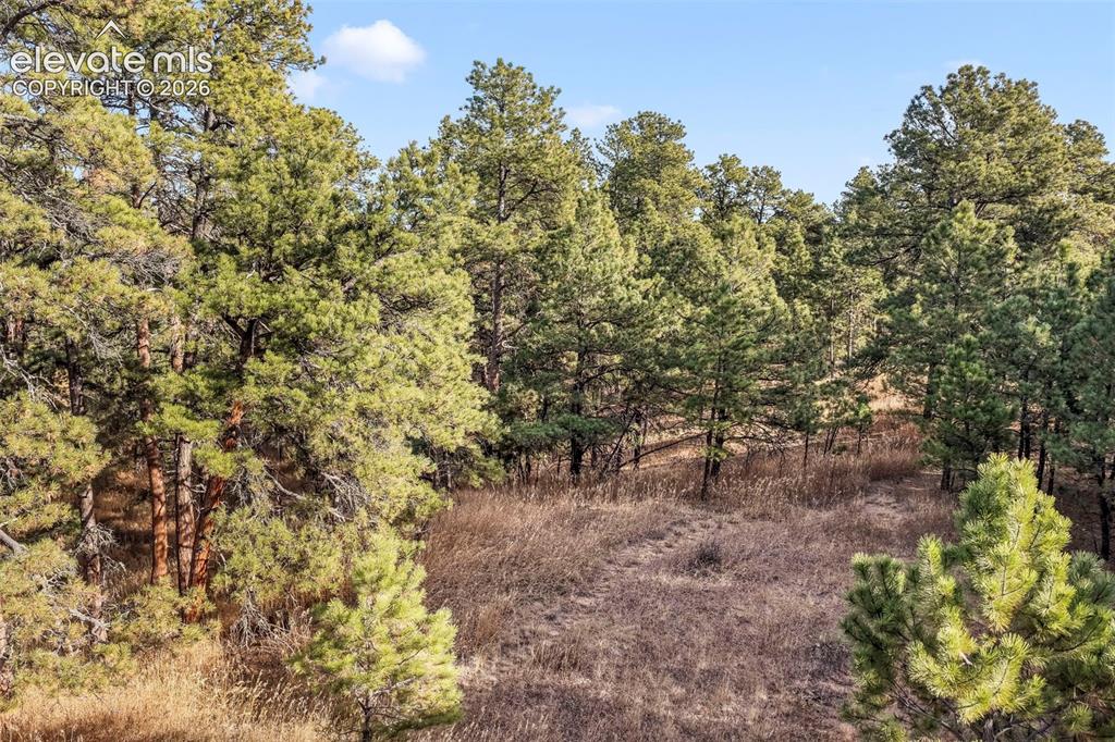 18230 Cumbres Court Peyton CO 80831