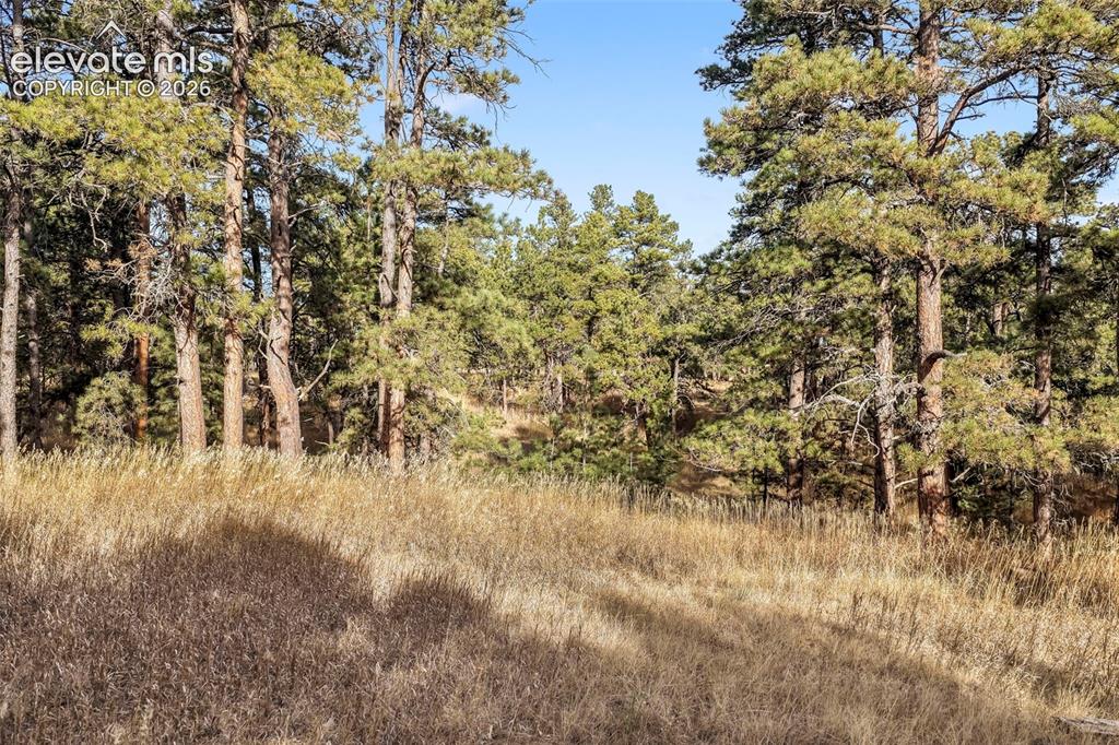 18230 Cumbres Court Peyton CO 80831