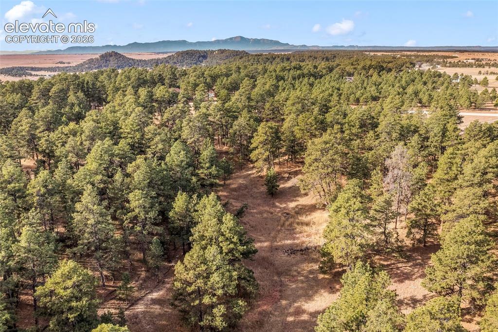 18230 Cumbres Court Peyton CO 80831