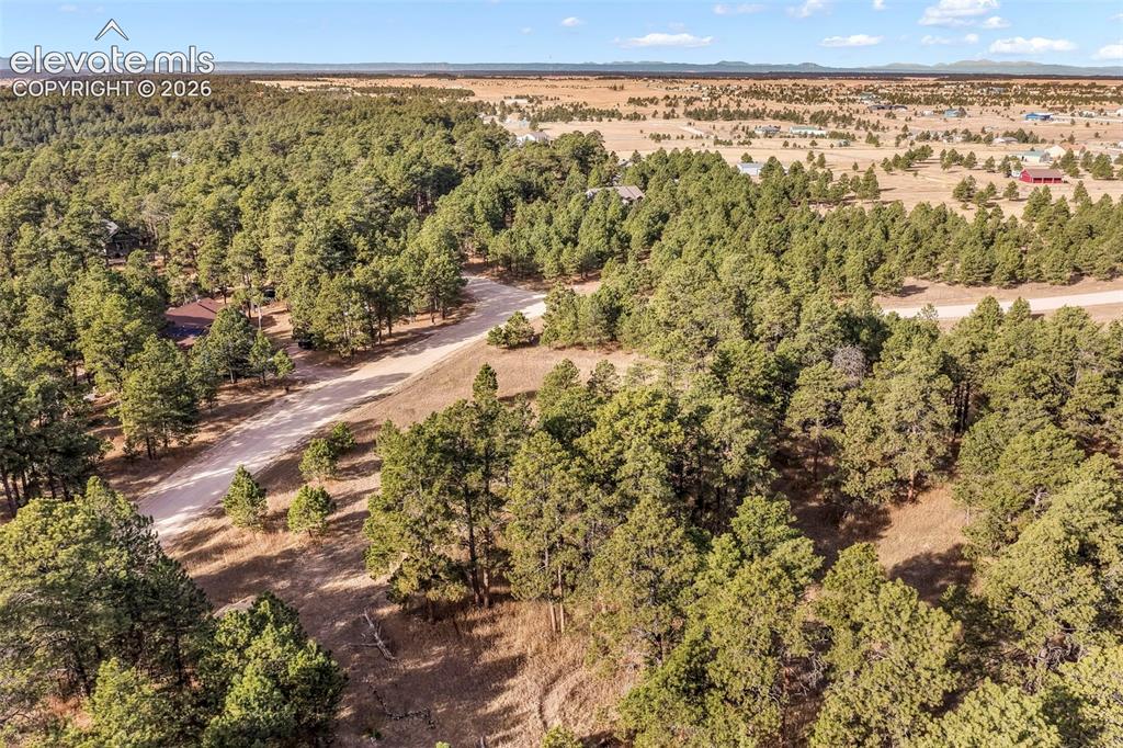 18230 Cumbres Court Peyton CO 80831