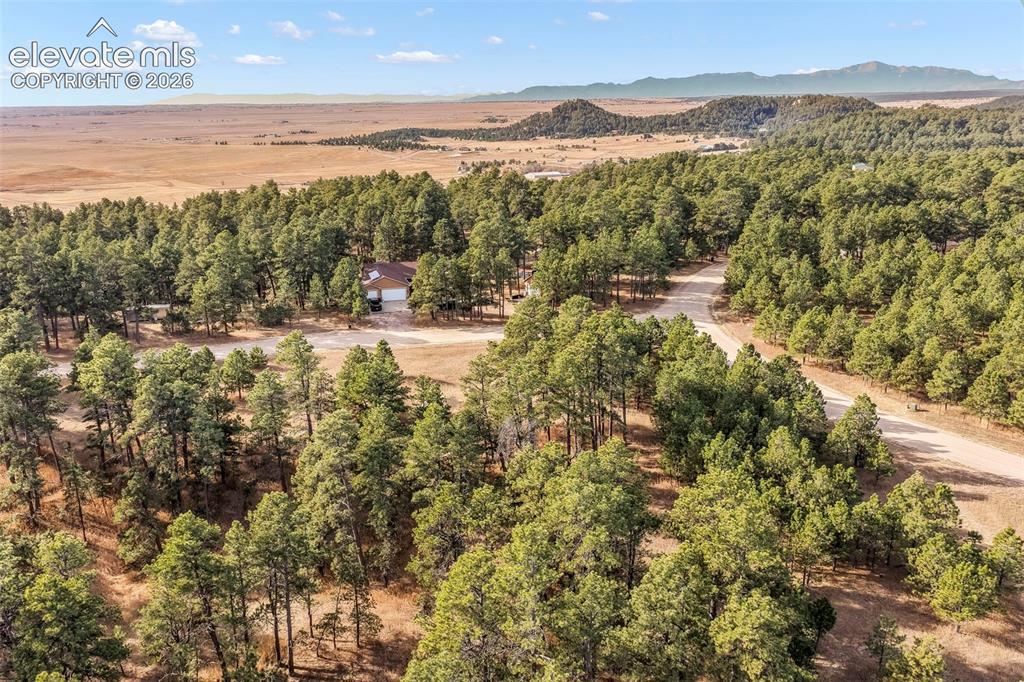18230 Cumbres Court Peyton CO 80831