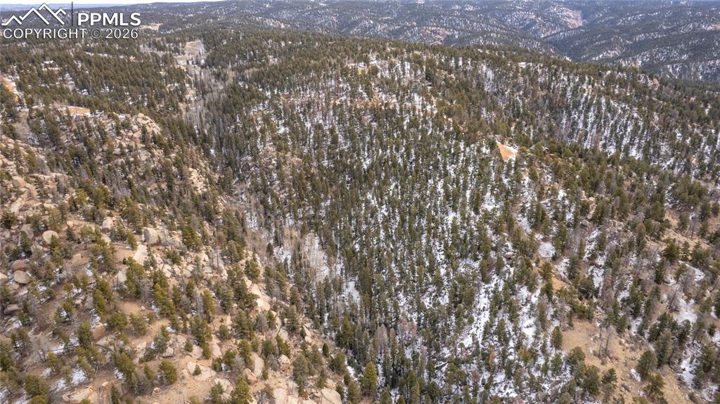 3388-3410 N Mountain Estates Road Florissant CO 80816