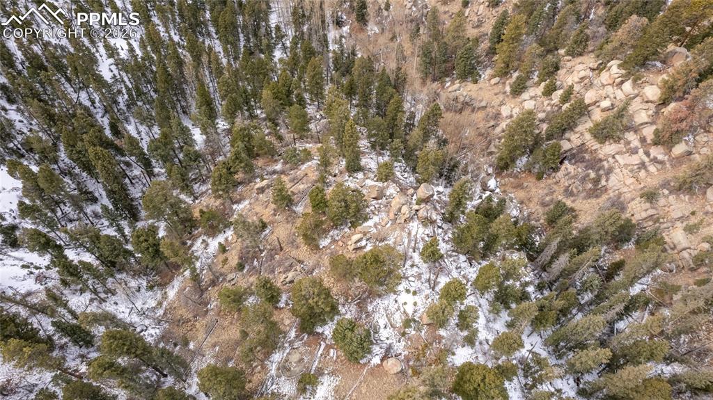 3388-3410 N Mountain Estates Road Florissant CO 80816