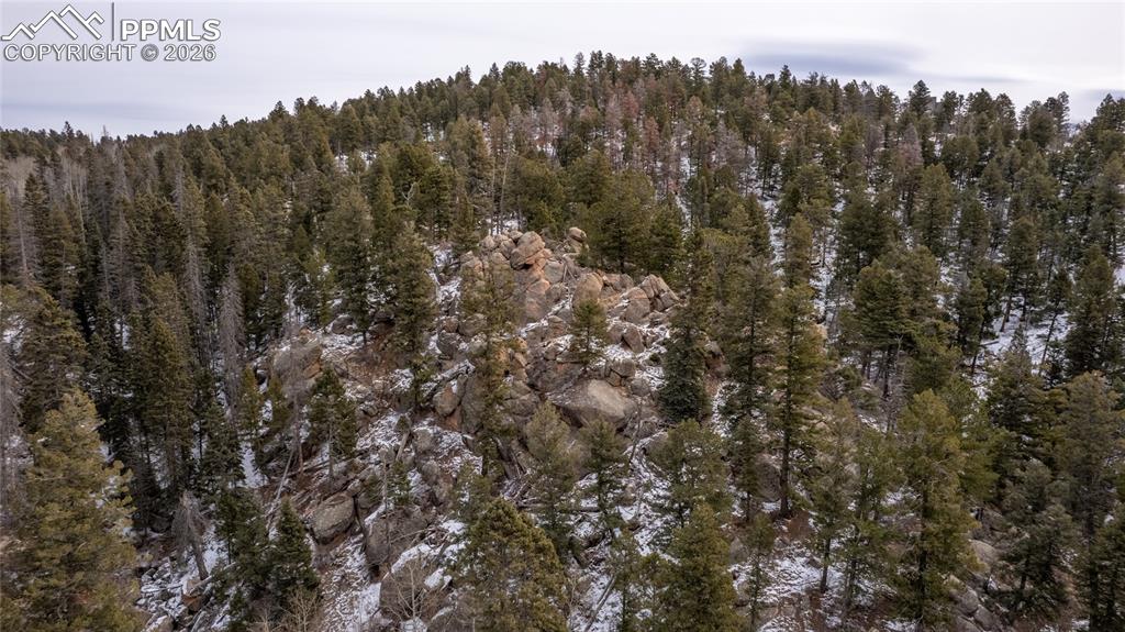 3388-3410 N Mountain Estates Road Florissant CO 80816