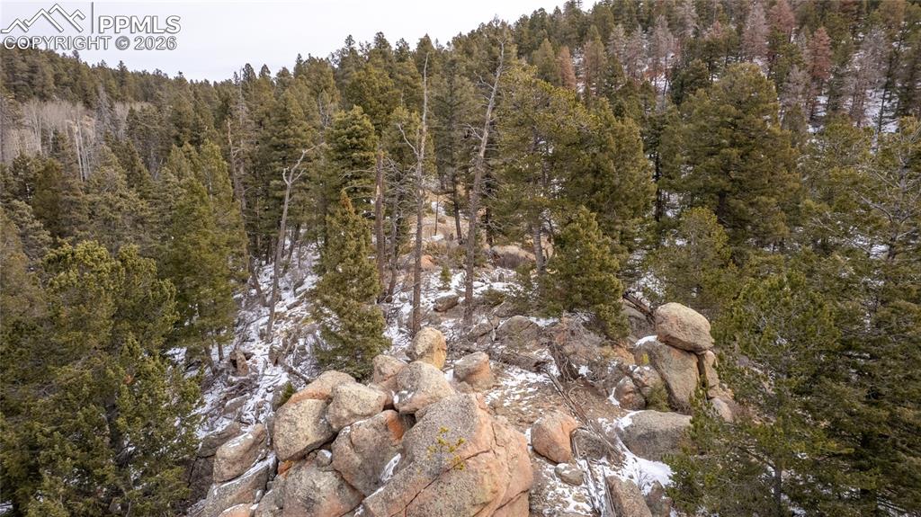 3388-3410 N Mountain Estates Road Florissant CO 80816