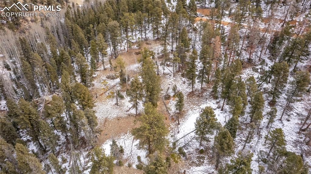 3388-3410 N Mountain Estates Road Florissant CO 80816