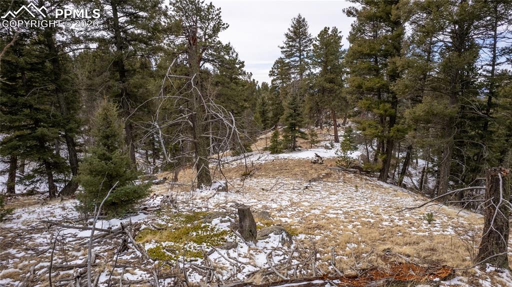 3388-3410 N Mountain Estates Road Florissant CO 80816