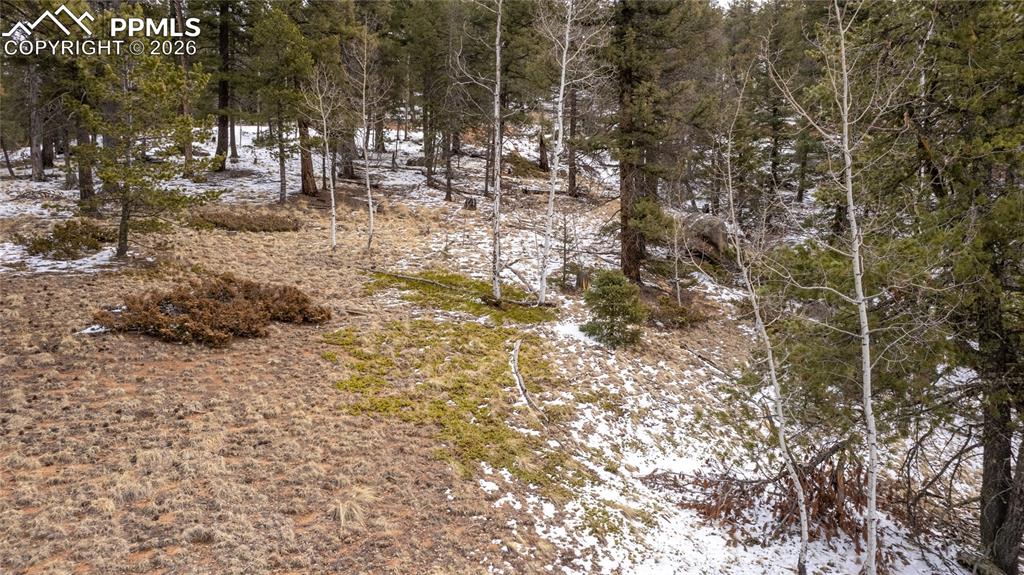 3388-3410 N Mountain Estates Road Florissant CO 80816