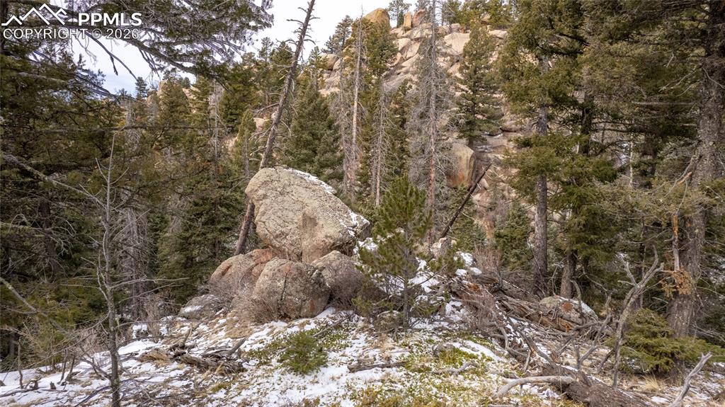 3388-3410 N Mountain Estates Road Florissant CO 80816