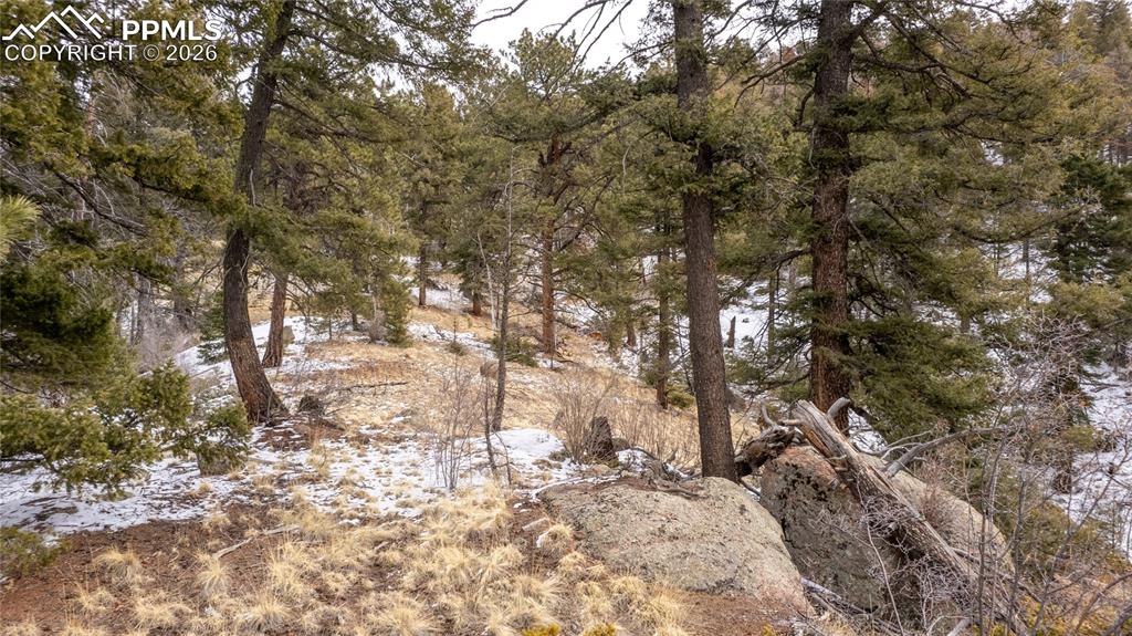 3388-3410 N Mountain Estates Road Florissant CO 80816