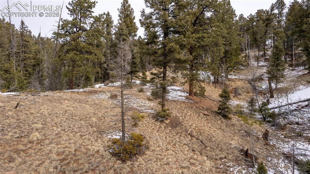 3388-3410 N Mountain Estates Road Florissant CO 80816
