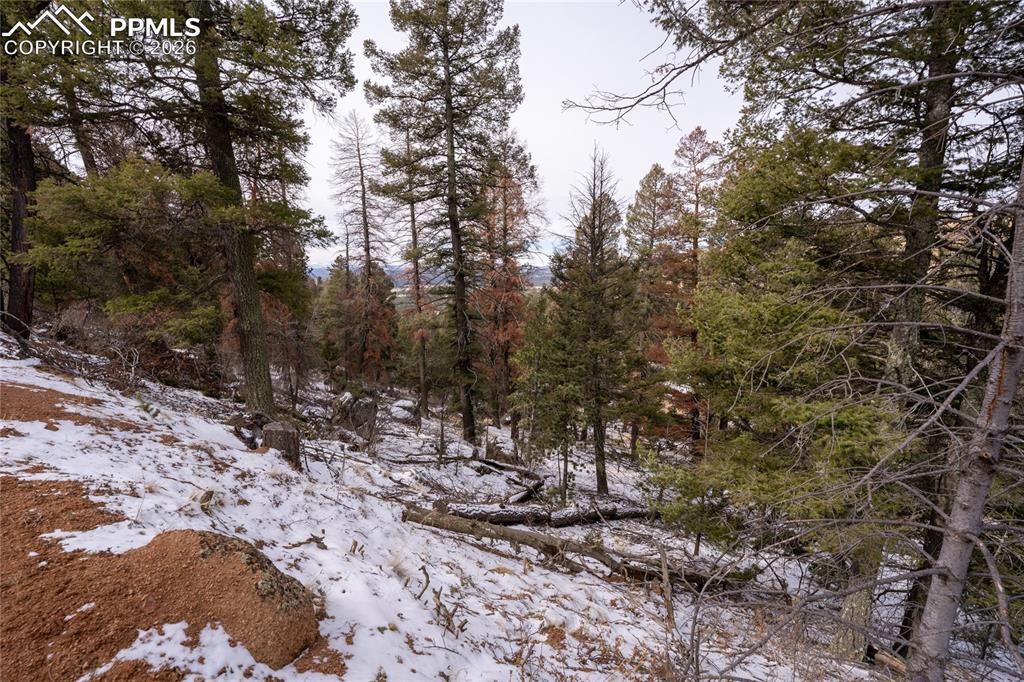 3388-3410 N Mountain Estates Road Florissant CO 80816