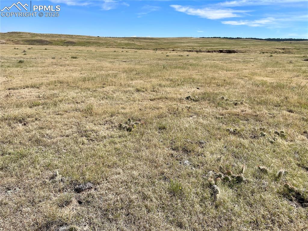 3 County Road 77 Calhan CO 80808