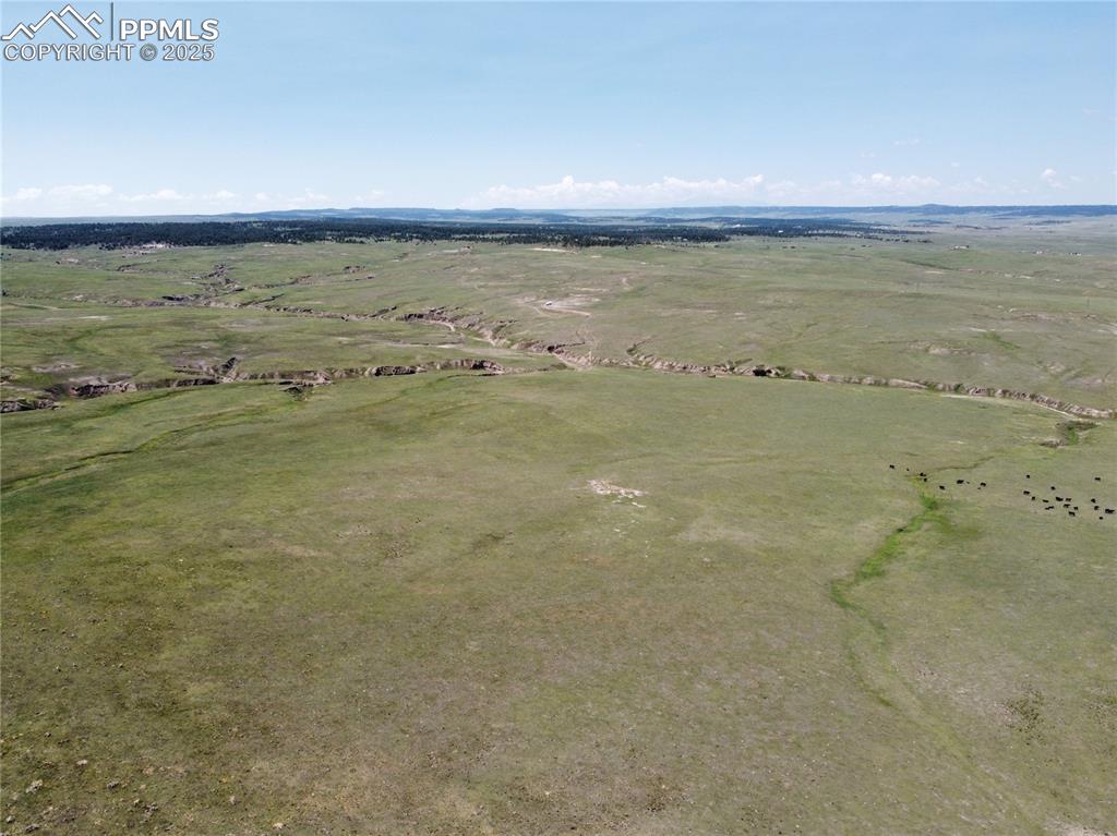 3 County Road 77 Calhan CO 80808