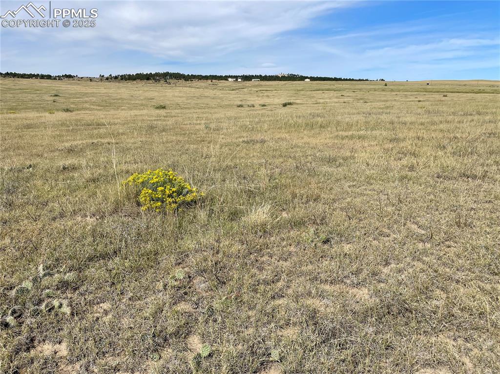 3 County Road 77 Calhan CO 80808