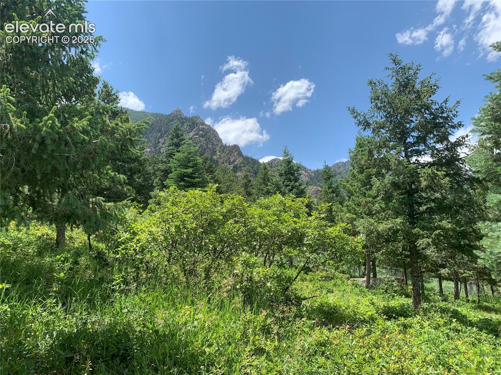 390 Irvington Court Colorado Springs CO 80906