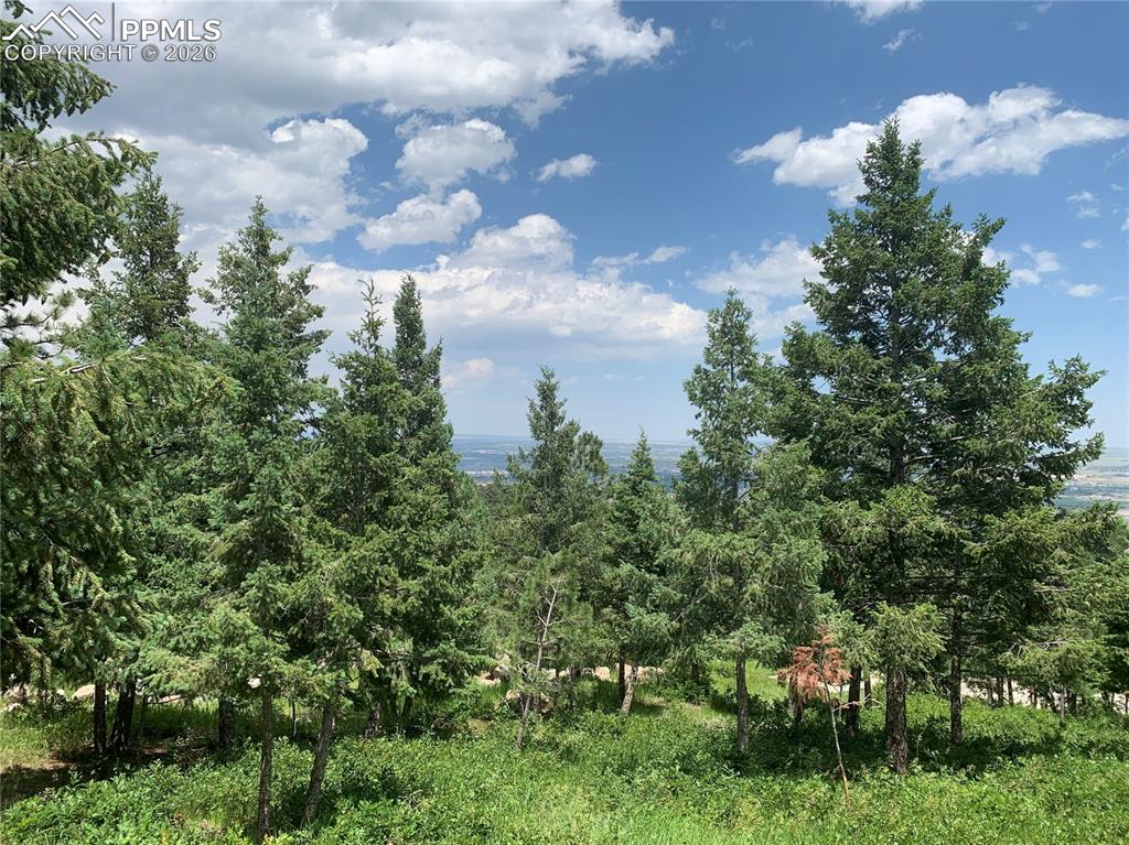 390 Irvington Court Colorado Springs CO 80906