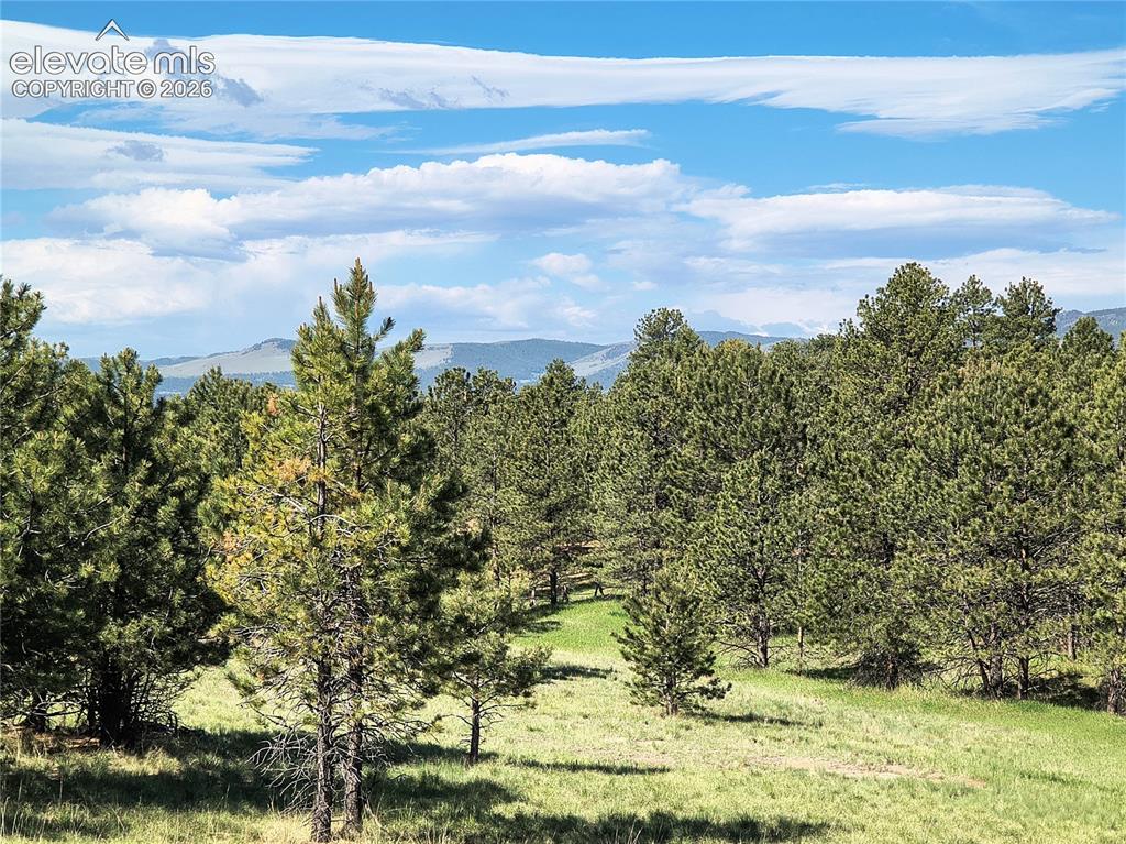 314 Arrowhead Drive Florissant CO 80816