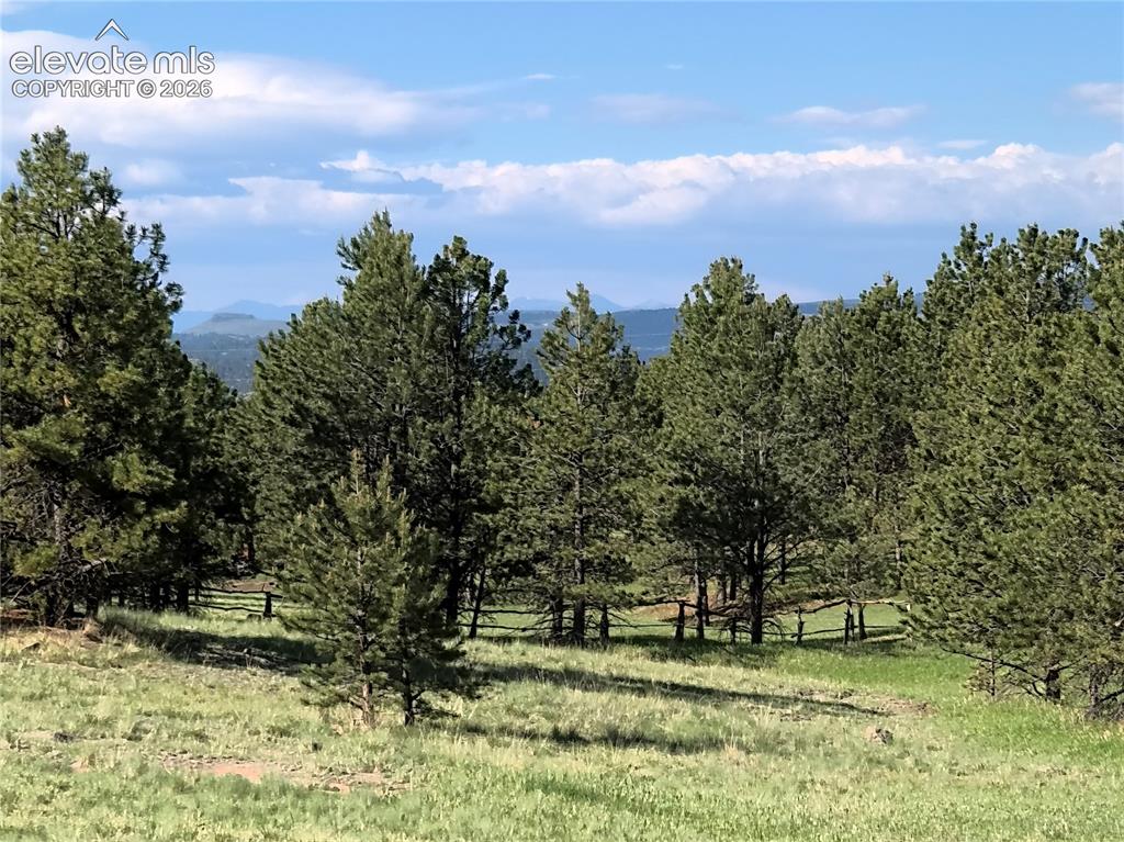 314 Arrowhead Drive Florissant CO 80816