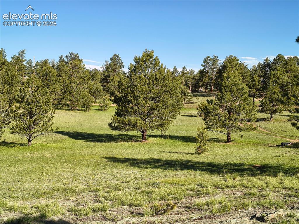 314 Arrowhead Drive Florissant CO 80816