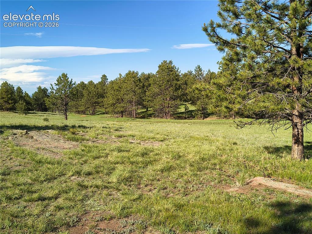 314 Arrowhead Drive Florissant CO 80816
