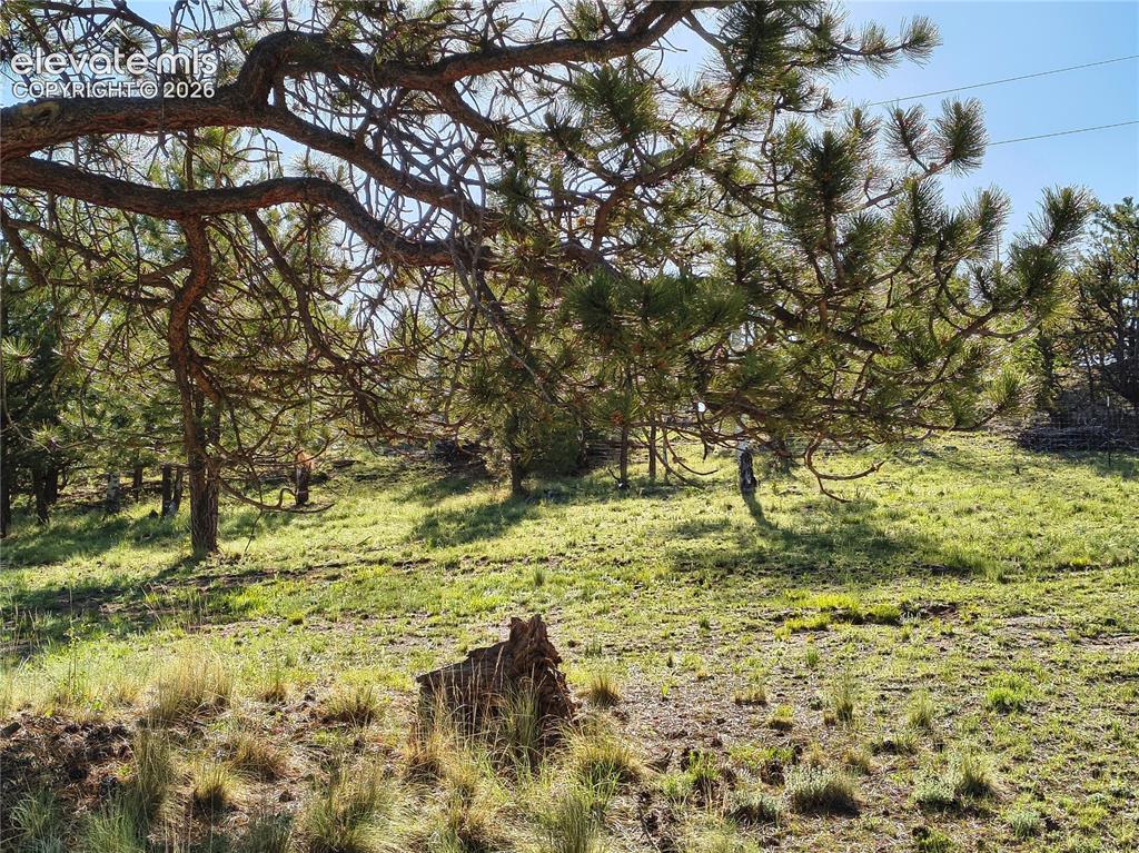 314 Arrowhead Drive Florissant CO 80816