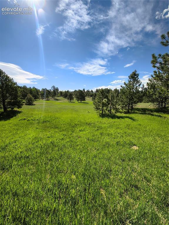 314 Arrowhead Drive Florissant CO 80816