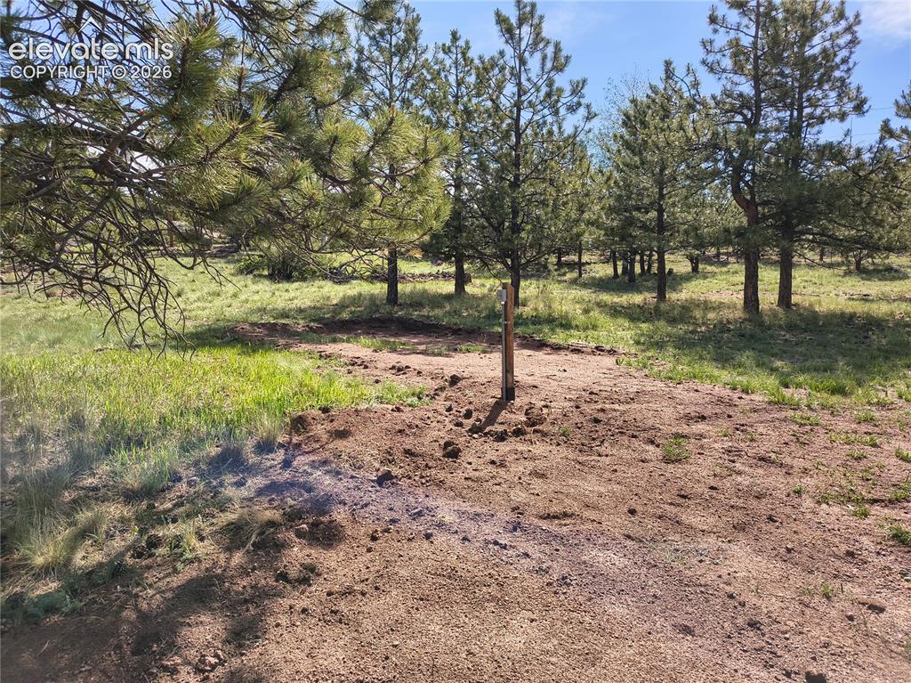 314 Arrowhead Drive Florissant CO 80816
