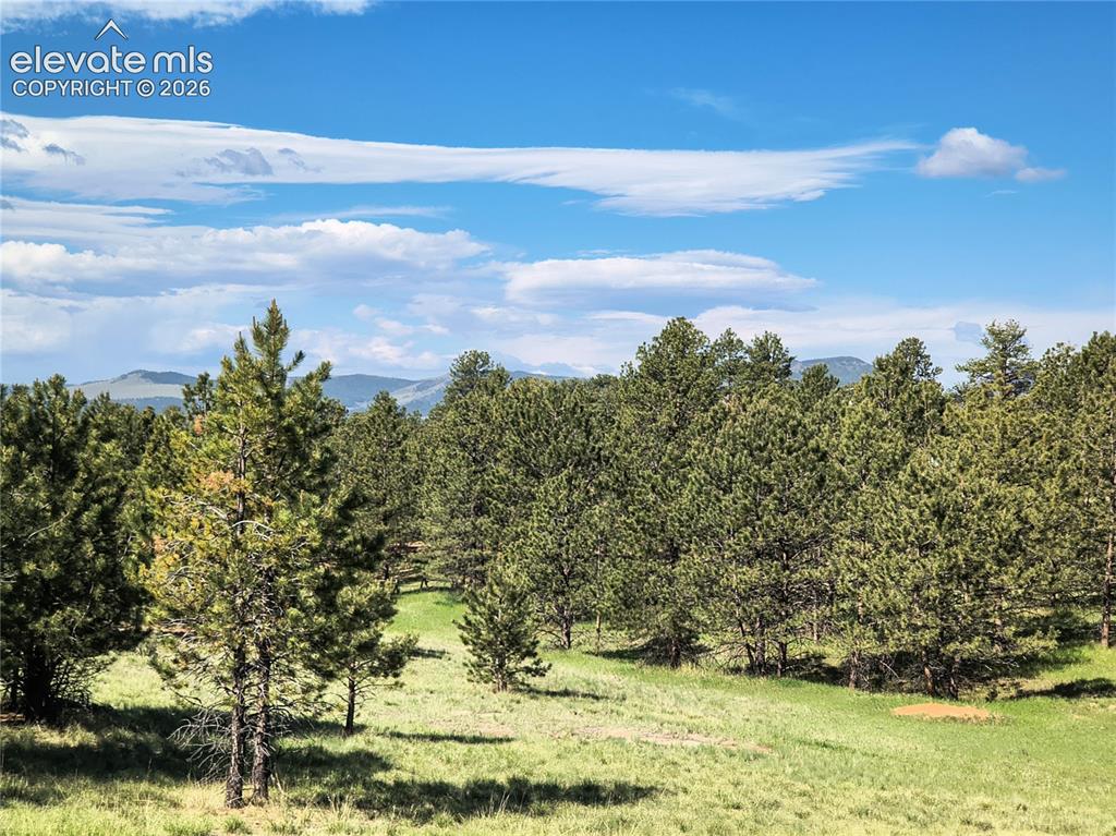 314 Arrowhead Drive Florissant CO 80816