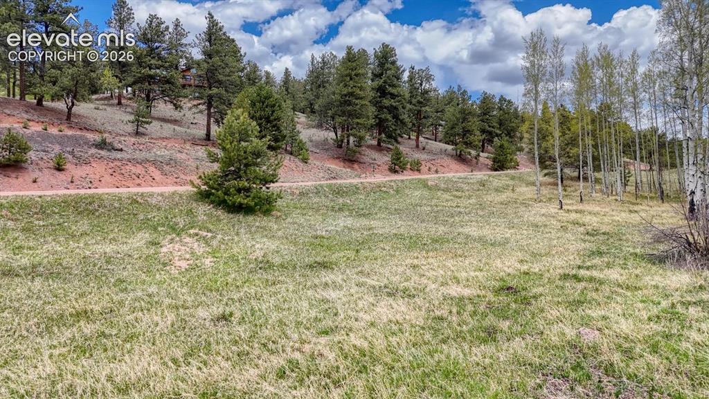 42 Rabbit Circle Florissant CO 80816