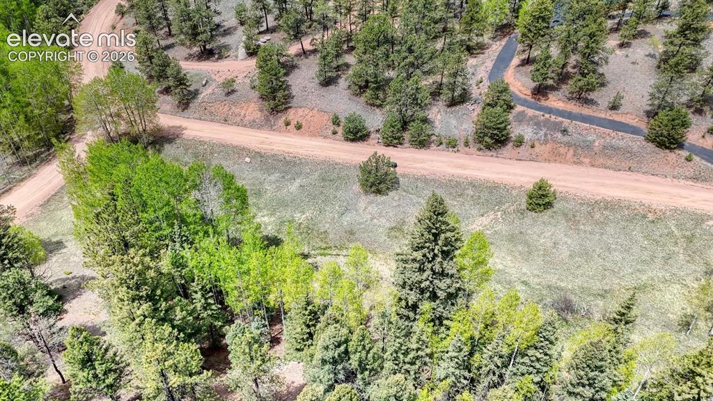 42 Rabbit Circle Florissant CO 80816