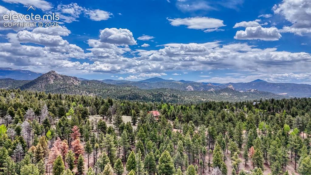 42 Rabbit Circle Florissant CO 80816