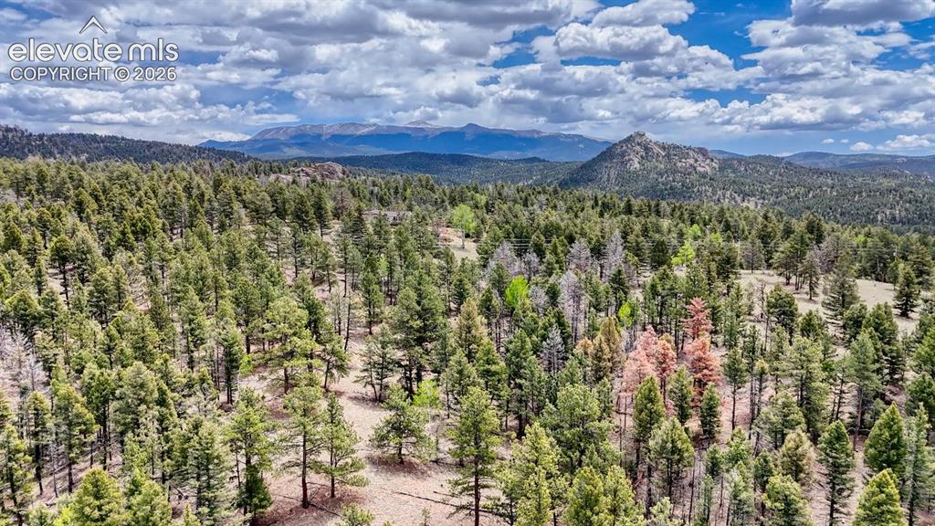 42 Rabbit Circle Florissant CO 80816