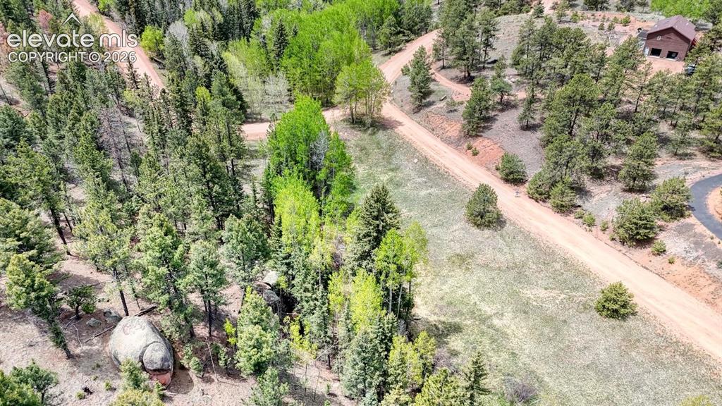 42 Rabbit Circle Florissant CO 80816