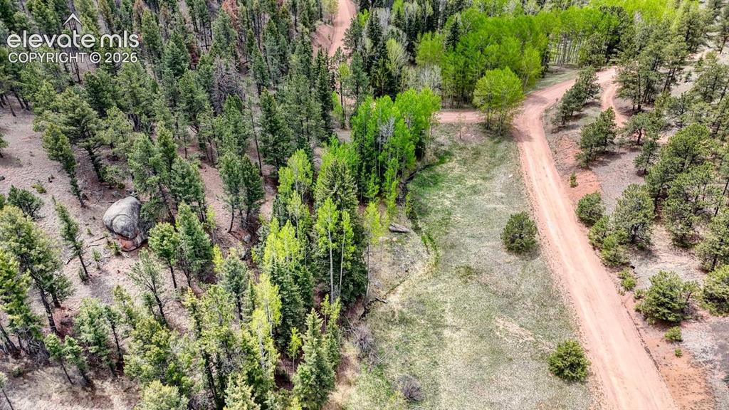 42 Rabbit Circle Florissant CO 80816