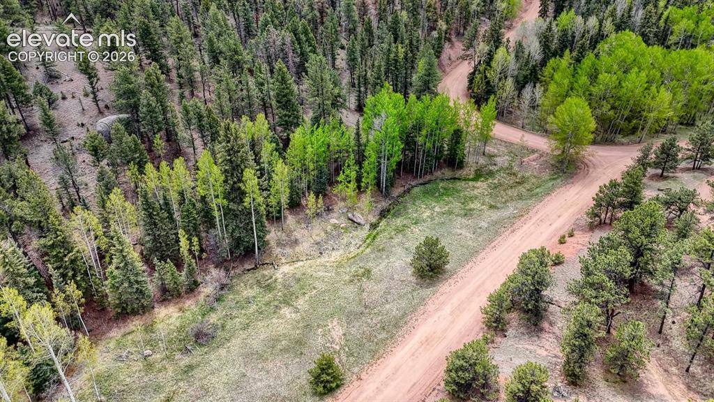 42 Rabbit Circle Florissant CO 80816