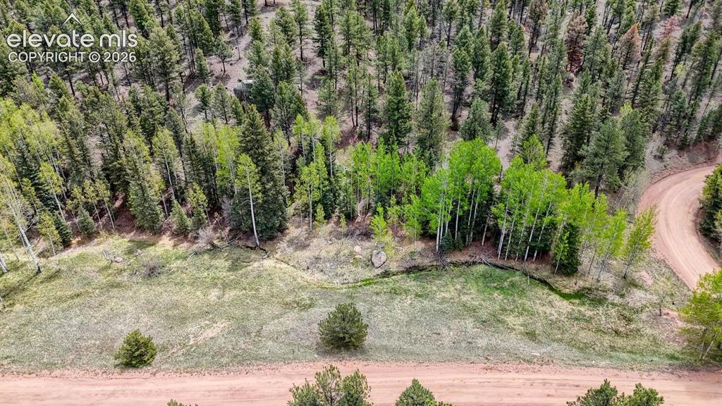 42 Rabbit Circle Florissant CO 80816