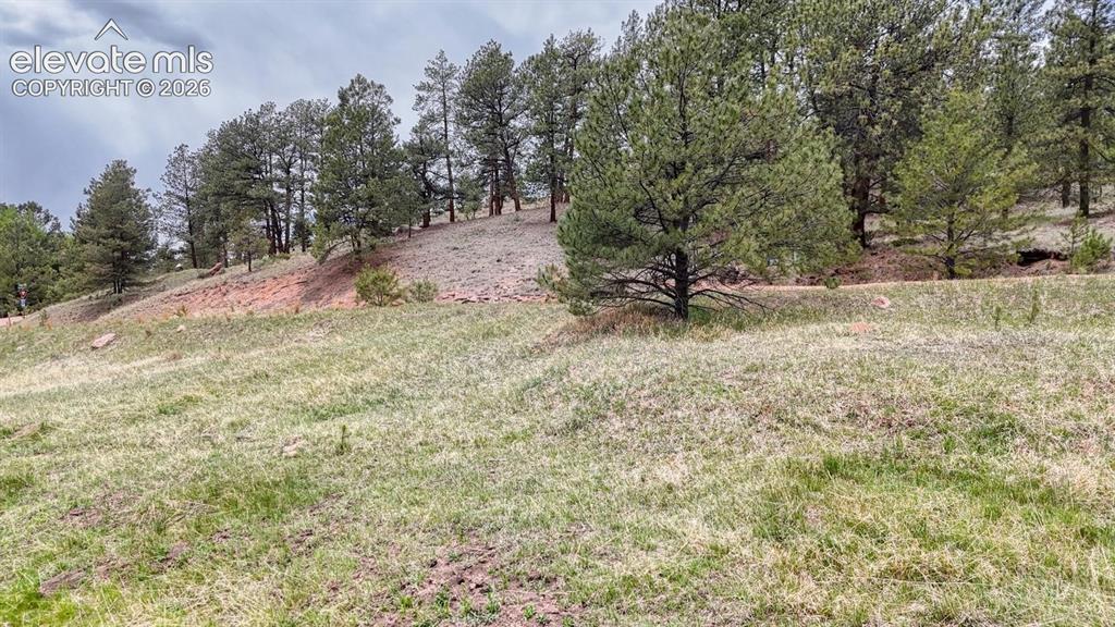 42 Rabbit Circle Florissant CO 80816
