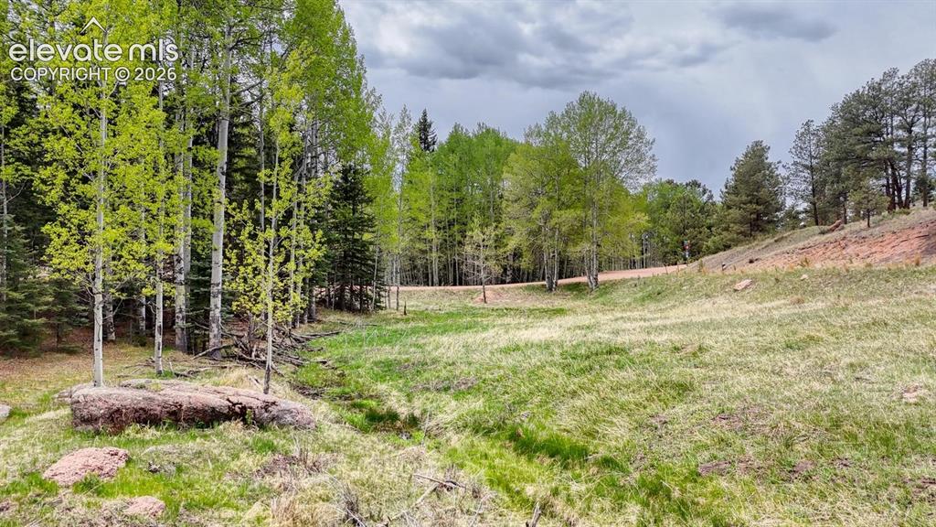 42 Rabbit Circle Florissant CO 80816