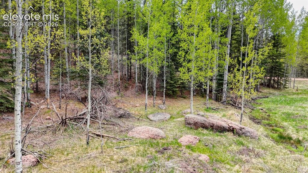 42 Rabbit Circle Florissant CO 80816