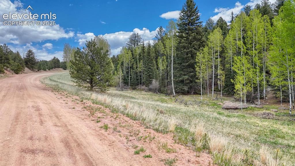 42 Rabbit Circle Florissant CO 80816