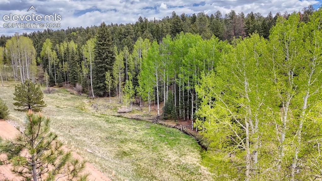 42 Rabbit Circle Florissant CO 80816