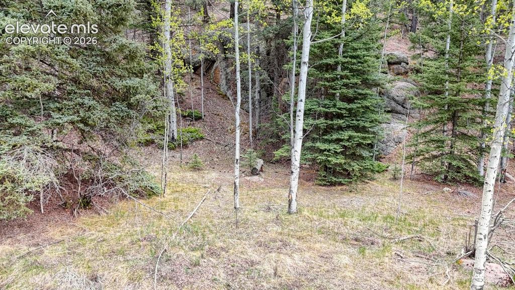 42 Rabbit Circle Florissant CO 80816